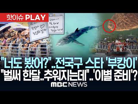 "너도 봤어?"..전국구 스타 '부캉이' "벌써 한달..추워지는데"..'이별 준비'? - [핫이슈PLAY] MBC뉴스 2026년 10월 18일