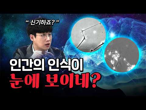 이젠 인간의 뇌를 디지털화 할 수 있다! (무섭고 신기한 내용) [코너별 다시보기]