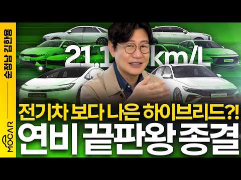 전기차보다 낫다? 국내 최고 하이브리드 TOP10...도요타 잡는 현대차!