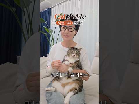 고양이 사료기부 함께해요♥️