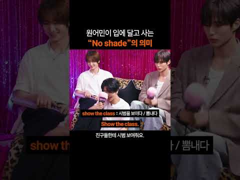 만능 영어표현 "No shade"