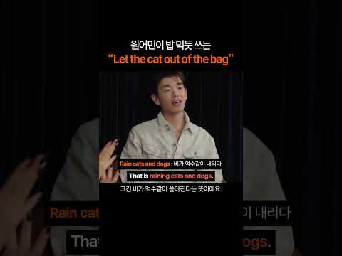 원어민이 밥 먹듯 쓰는 "Let the cat out of the bag"