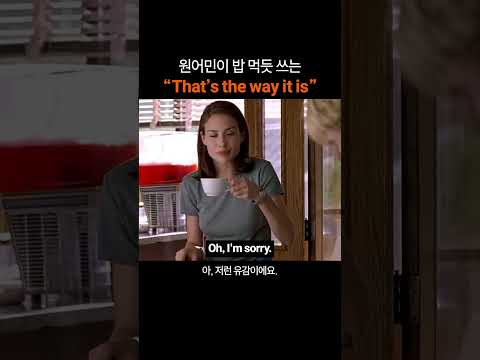 만능 영어표현 "That's the way it is"