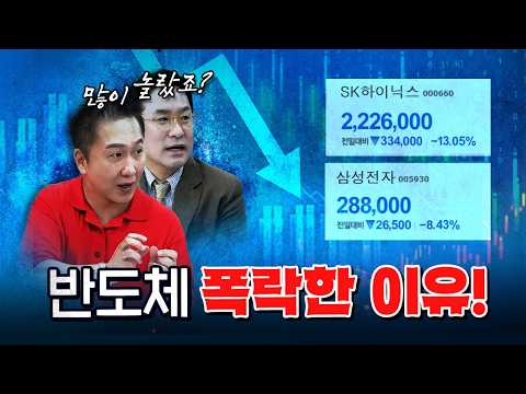 반도체에 무슨 일이 생긴 거야? [코너별 다시보기 - 260702]