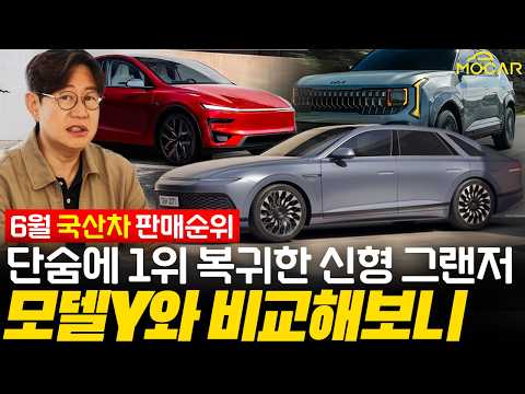 그랜저 압도적 1위! 테슬라는 몇위?…이달의 국산차 판매 순위