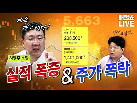 신중론자 차영주 "삼전닉스는 왜 걱정해?" (07.29)
