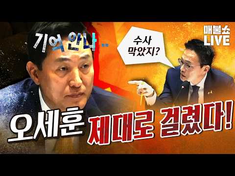 오세훈의 심각한 범죄혐의! (신기루의 난동) | 풀버전(10.16)