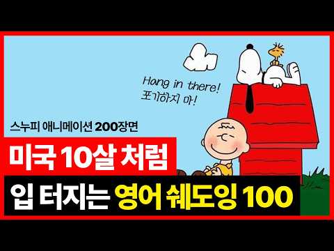영어를 시작한다면 이 영상부터 보세요.ㅣPDF 무료 다운ㅣ미드보다 실용적인 스누피 쉐도잉 100문장
