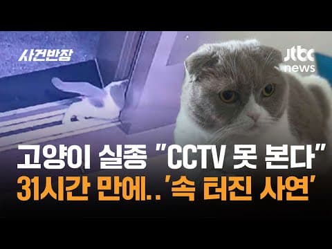 고양이 실종 "CCTV 못 보여줘"…31시간 만에 구조 '속 터진 사연' / JTBC 사건반장