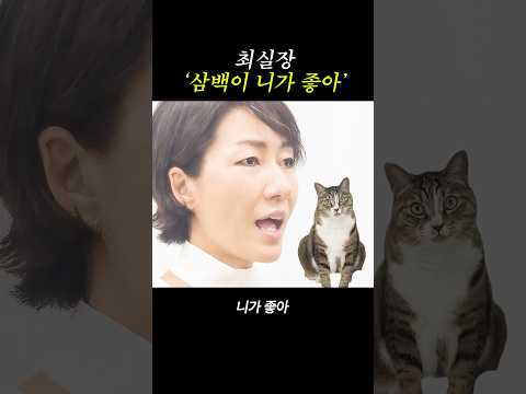 #고양이자랑 #니가좋아 #최성곤 #최실장