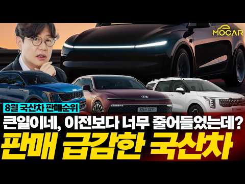 8월 자동차 판매 순위, 신형 아반떼 판매량 vs 테슬라 누가 1등?