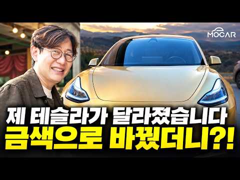 제 테슬라, 밝은틴팅과 FSD로 사이버캡 됐습니다! 태워드릴까요?