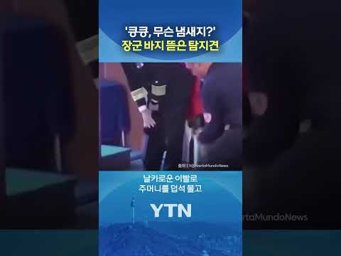 해군 장성 바지를 '콱' #shorts / YTN