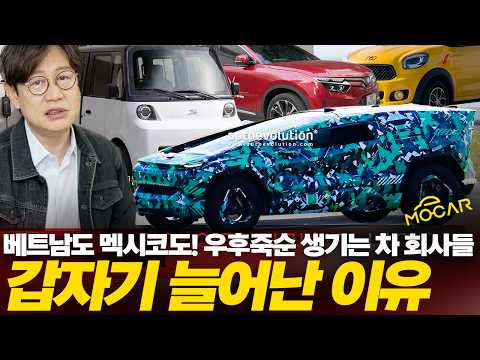 베트남·사우디까지 전기차! 현대차의 새 경쟁자…그 뒤에 또 중국이?!