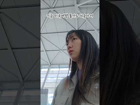 미국 왕복 70만원? 에어프레미아 타봤더니…