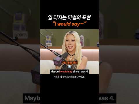 입 터지는 마법의 표현 "I would say~"