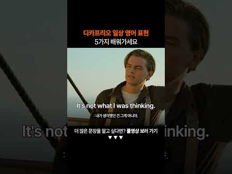 필수 영어 표현 5가지 꼭 배워가세요ㅣ왕초보 영어 회화