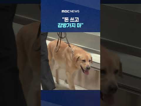 세관 적발 마약이 이 정도?.."돈 쓰고 감방가지 마" #Shorts (MBC뉴스)