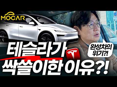 테슬라만 다룬다구요? 독일차 힘들고, 중국차 뜨는 이유...자동차에도 보라색 소가 필요해! VLOG