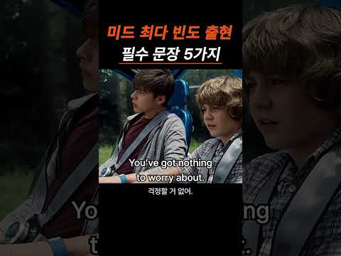 미드 최다 빈도 출현 필수 문장 5가지