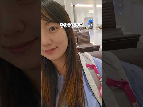 임산부의 나홀로 다낭여행 솔직후기..