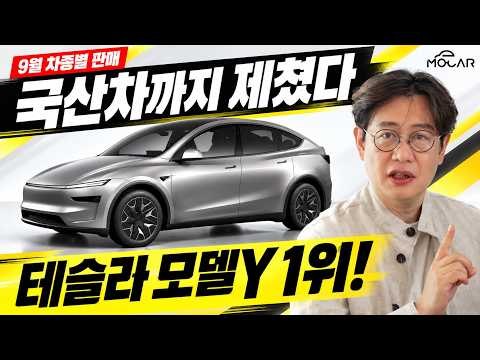 현대·기아 제친 테슬라 모델Y, 또 국내 1위!…9월 수입차 판매순위