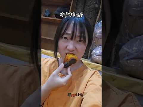 30대의 로망.. 겨울온천 솔직 후기