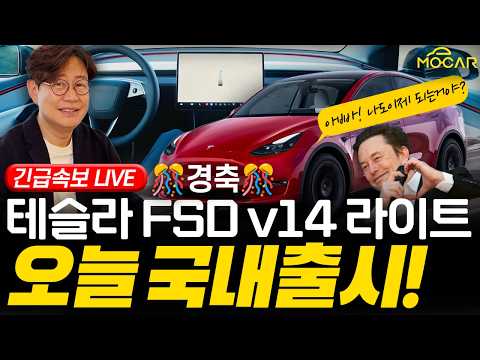 경축 라이브! 테슬라 FSD v14 라이트 국내 출시! 저도 샀어요!