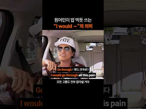 만능 영어 표현 "I would"